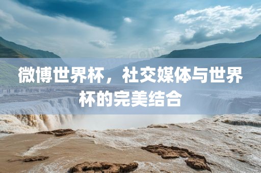 微博世界杯，社交媒体与世界杯的完美结合
