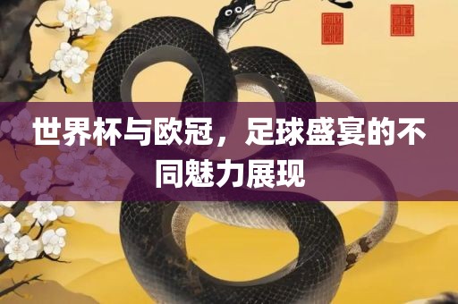 世界杯与欧冠，足球盛宴的不同魅力展现