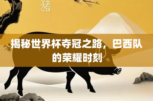 揭秘世界杯夺冠之路，巴西队的荣耀时刻