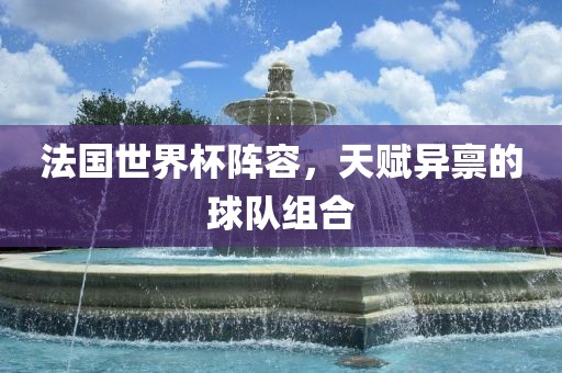 法国世界杯阵容，天赋异禀的球队组合