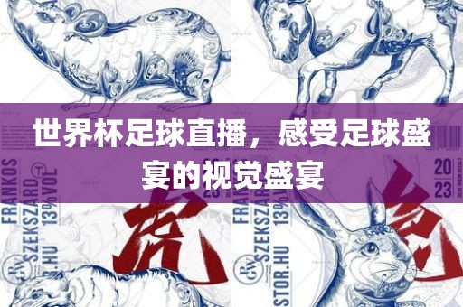 世界杯足球直播，感受足球盛宴的视觉盛宴