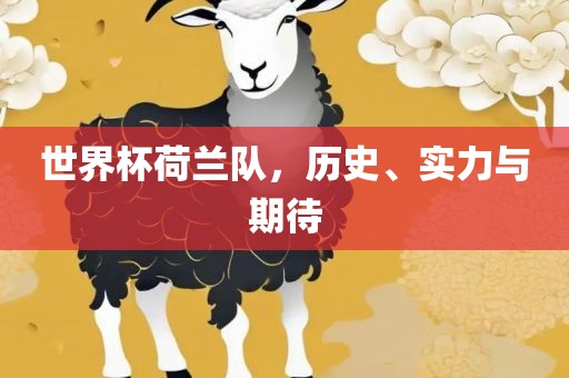 世界杯荷兰队，历史、实力与期待