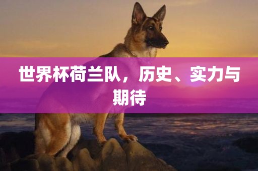 世界杯荷兰队，历史、实力与期待