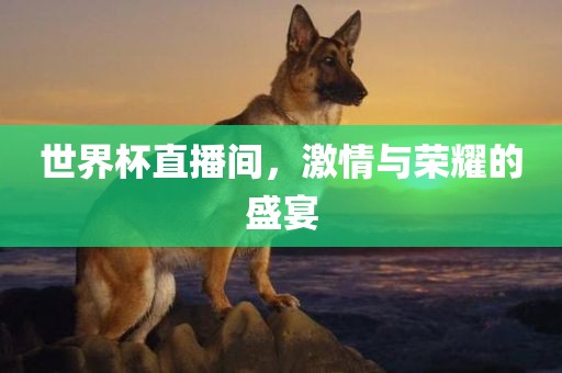 世界杯直播间，激情与荣耀的盛宴漯河市盈旭机械设备有限公司