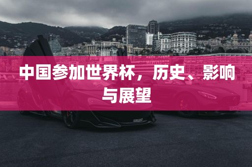 中国参加世界杯，历史、影响与展望漯河市盈旭机械设备有限公司
