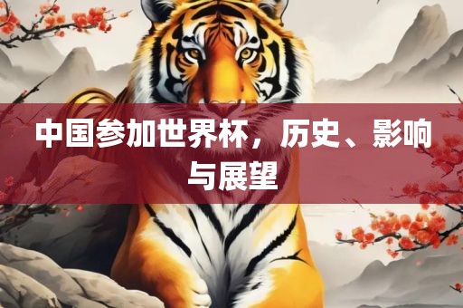中国参加漯河市盈旭机械设备有限公司世界杯，历史、影响与展望