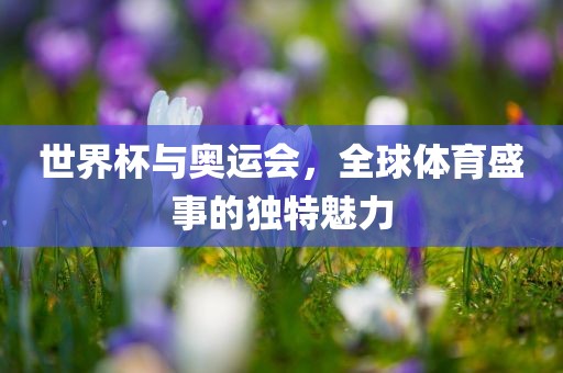 世界杯与奥运会，全球体育盛事的独特魅力漯河市盈旭机械设备有限公司