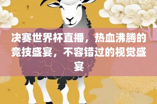 决赛世界杯直播，热血沸腾的竞技盛宴，不容错过的视觉盛宴