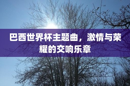巴西世界杯主题曲，激情与荣耀的交响乐章