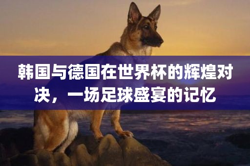 韩国与德国在世界杯的辉煌对决，一场足漯河市盈旭机械设备有限公司球盛宴的记忆
