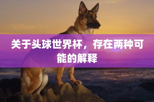 关于头球世界杯，存在两种可能的解释