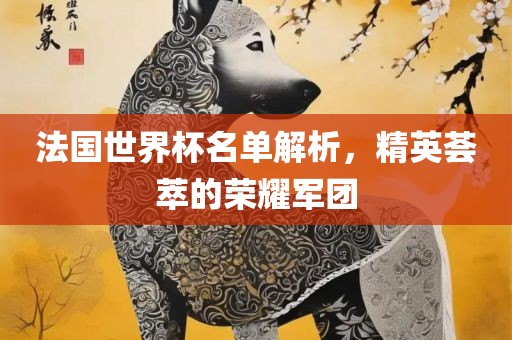 法国世界杯名单解析，精英荟萃的荣耀军团