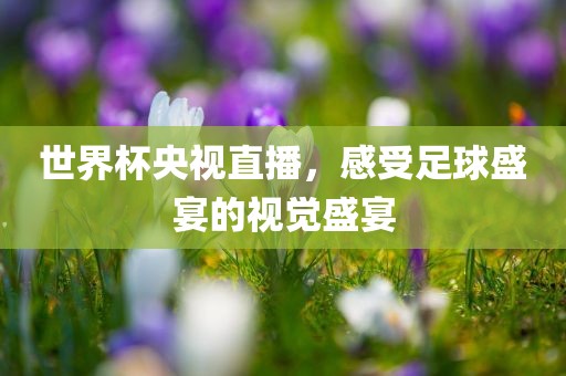 世界杯央视直播，感受足球盛宴的视觉盛宴