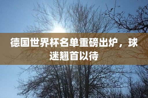 德国世界杯名单重磅出炉，球迷翘首以待