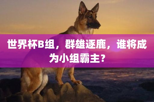 世界杯B组，群雄逐鹿，谁将成为小组霸主？