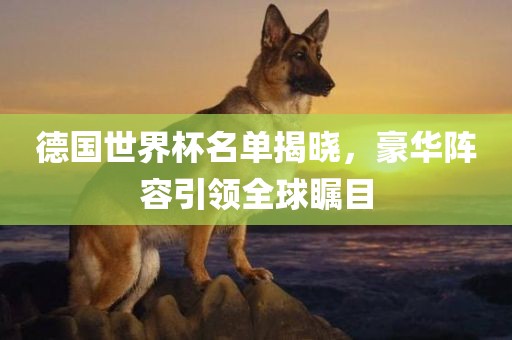德国世界杯名单揭晓，豪华阵容引领全球瞩目