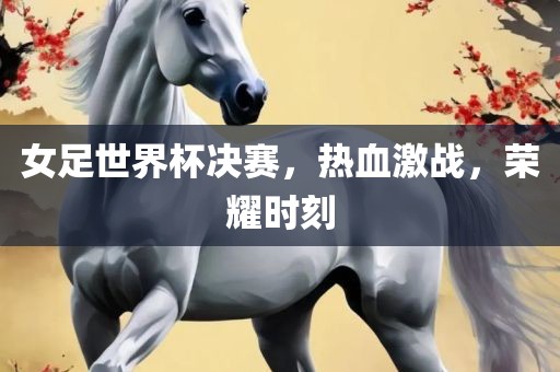 女足世界杯决赛，热血激战，荣耀时刻