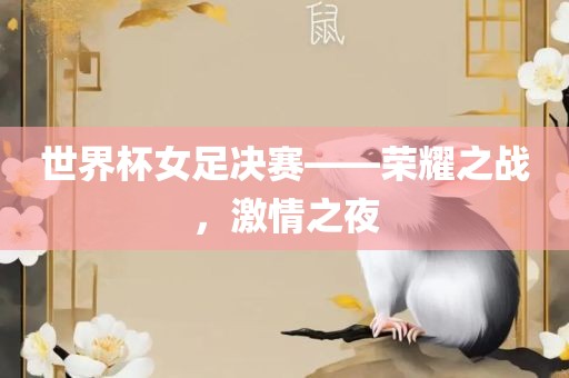 世界杯女足决赛——荣耀之战，激情之夜