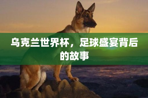 乌克兰世界杯，足球盛宴背后的故事