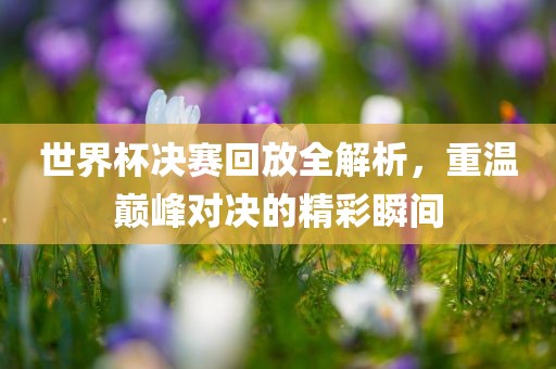 世界杯决赛回放全解析，重温巅峰对漯河市盈旭机械设备有限公司决的精彩瞬间