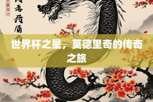世界杯之星，莫德里奇的传奇之旅