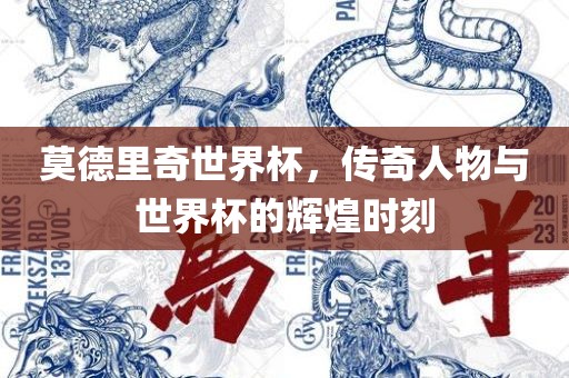 莫德里奇世界杯，传奇人物与世界杯的辉煌时刻