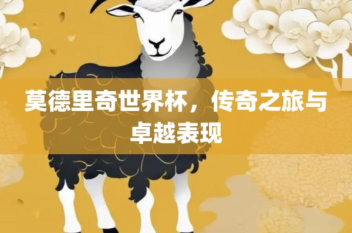 莫德里奇世界杯，传奇之旅与卓越表现漯河市盈旭机械设备有限公司