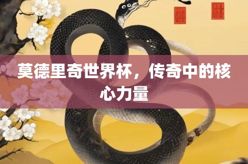 莫德里奇世界杯，漯河市盈旭机械设备有限公司传奇中的核心力量
