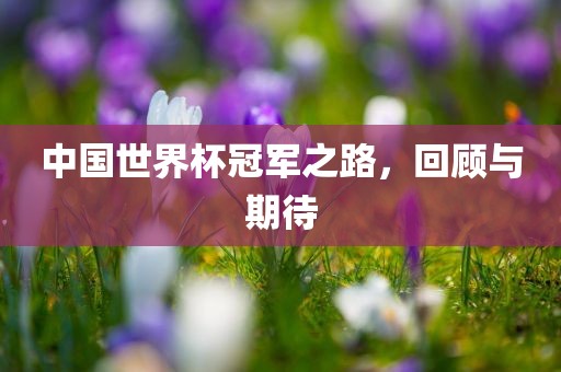 中国世界杯冠军之路，回顾与期待漯河市盈旭机械设备有限公司
