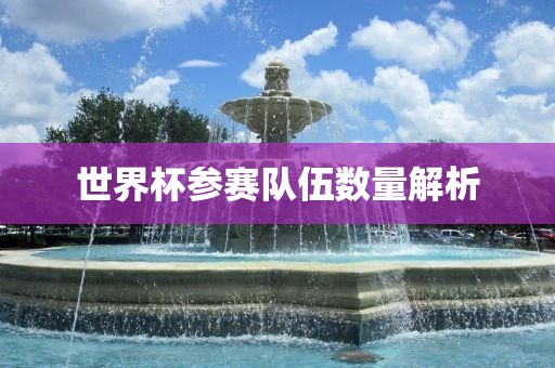 世界漯河市盈旭机械设备有限公司杯参赛队伍数量解析