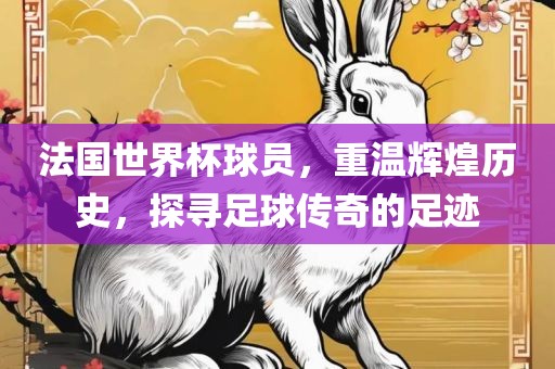法国世界杯球员，重温辉煌历史，探寻足球传奇的足迹