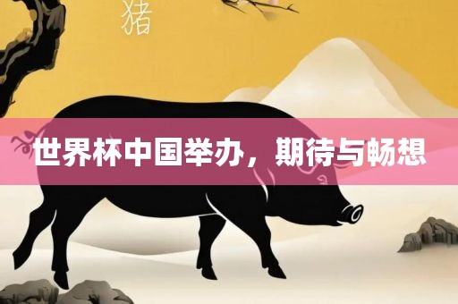 世界杯中国举办，期待与畅想