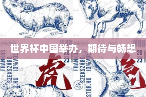 世界杯中国举办，期待与畅想