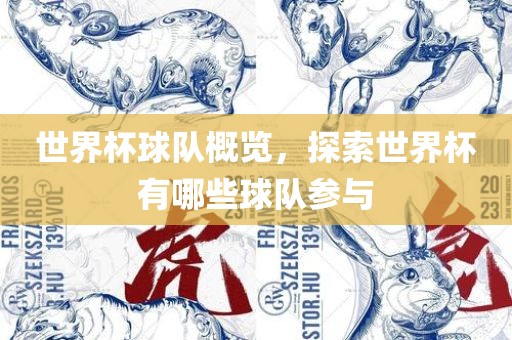 世界杯球队概览，探索世界杯有哪些球队参与