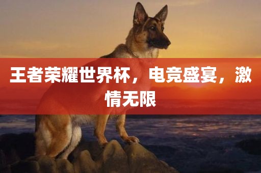 王者荣耀世界杯，电竞盛宴，激情无限