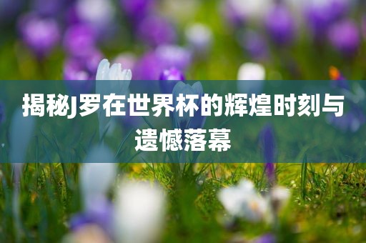 揭秘J罗在世界杯的辉煌时刻与遗憾落幕