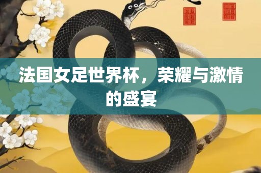 法国女足世界杯，荣耀与激情的盛宴
