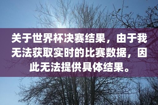 关于世界杯决赛结果，由于我无法获取实时的比赛数据，因此无法提供具体结果。
