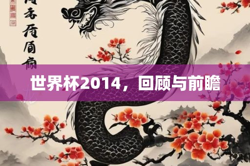 世界杯2014，回顾与前瞻