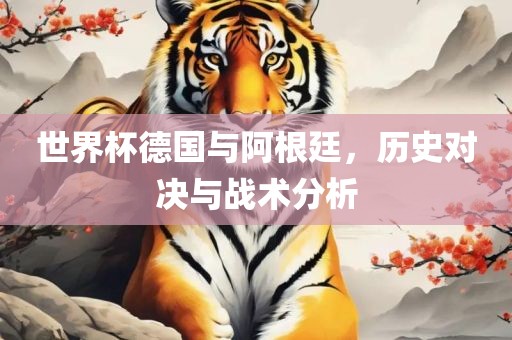 世界杯德国与阿根廷，历史对决与战术分析
