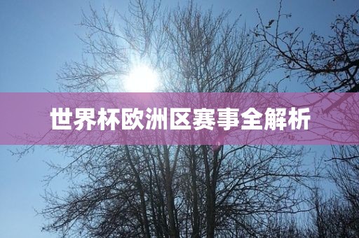 世界杯欧洲区赛事全解析