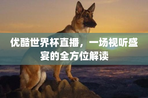优酷世界杯直播，一场视听盛宴的全方位解读