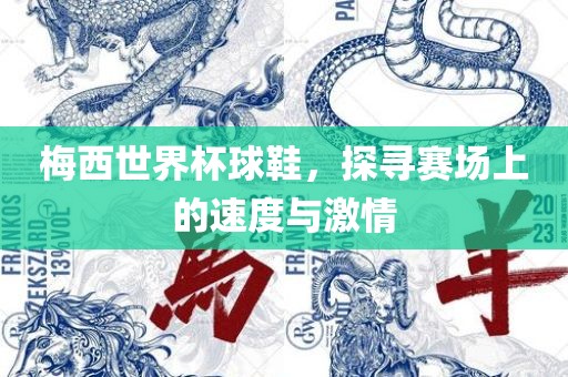梅西世界杯球鞋，探寻赛场上的速度与激情