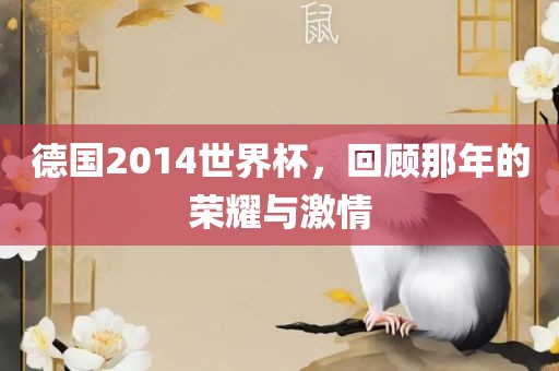德国2014世界杯，回顾那年的荣耀与激情