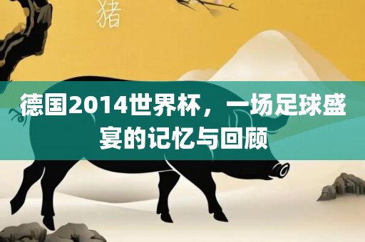 德国2014世界杯，一场足球盛宴的记忆与回顾
