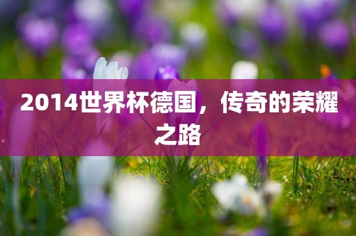 2014世界杯德国，传奇的荣耀之路