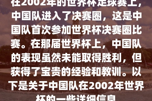 在2002年的世界杯足球赛上，中国队进入了决赛圈，这是中国队首次参加世界杯决赛圈比赛。在那届世界杯上，中国队的表现虽然未能取得胜利，但获得了宝贵的经验和教训。以下是关于中国队在2002年世界杯的一些详细信息