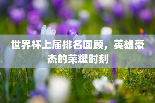 世界杯上届排名回顾，英雄豪杰的荣耀时刻