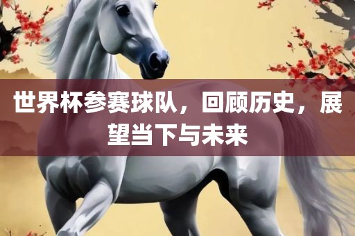 世界杯参赛球队，回顾历史，展望当下与未来