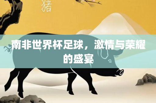 南非世界杯足球，激情与荣耀的盛漯河市盈旭机械设备有限公司宴
